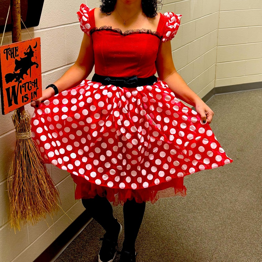 Adult Disney Minnie Mouse Halloween Costume Small